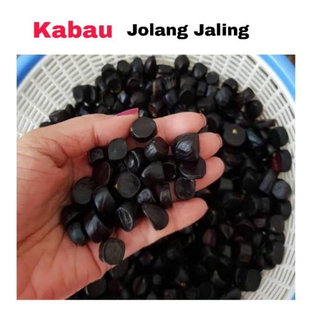 TERLARIS 1kg KABAU / jolang jaling / mirip jengkol/ pete