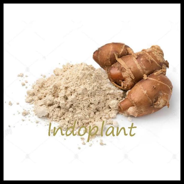 

Serbuk Kencur 500 G Bubuk Galangal Kaempferia Galanga Powder