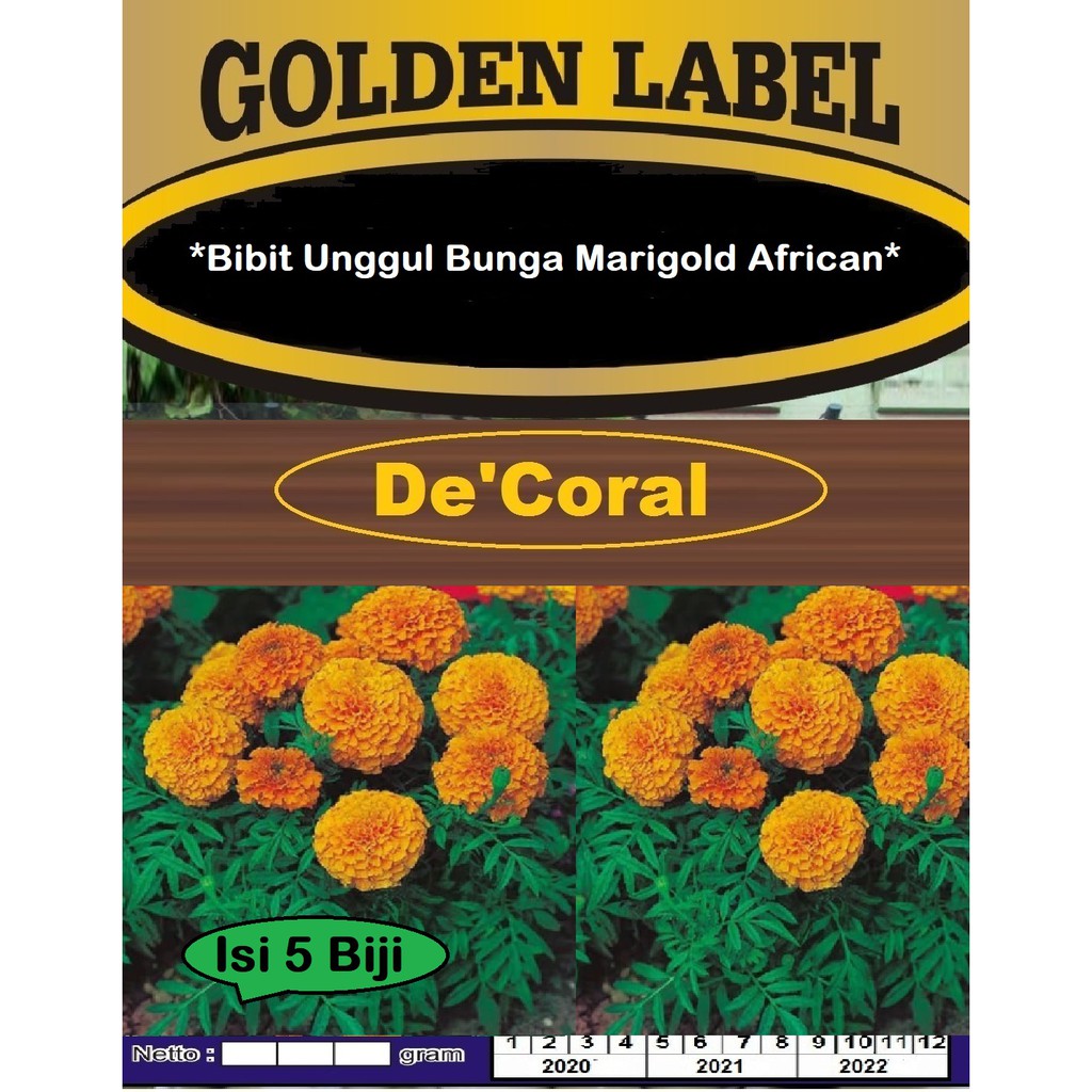 Bibit Unggul Bunga Marigold African | Benih Bunga Marigold African