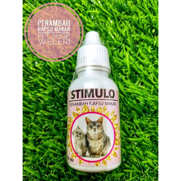 Stimulo obat nafsu makan kucing