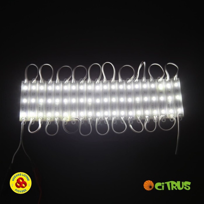 Citrus LED Module SMD 5050 R03 Putih Waterproof Bright LED 3 Mata 5050