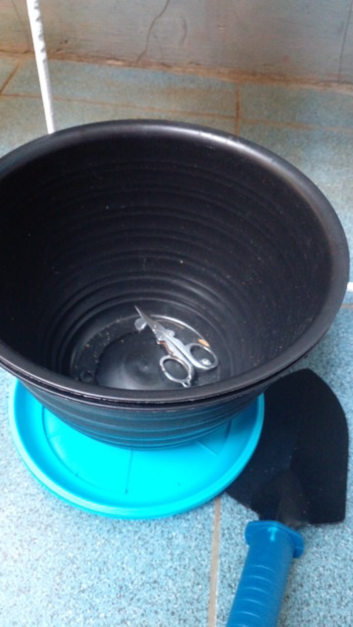 Paranet (65%-75%) Lebar 3 Meter