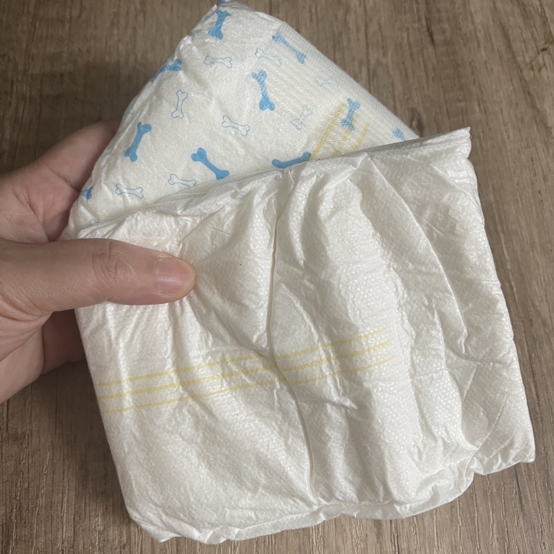 ECER marking diaper/popok anjing jantan random motif