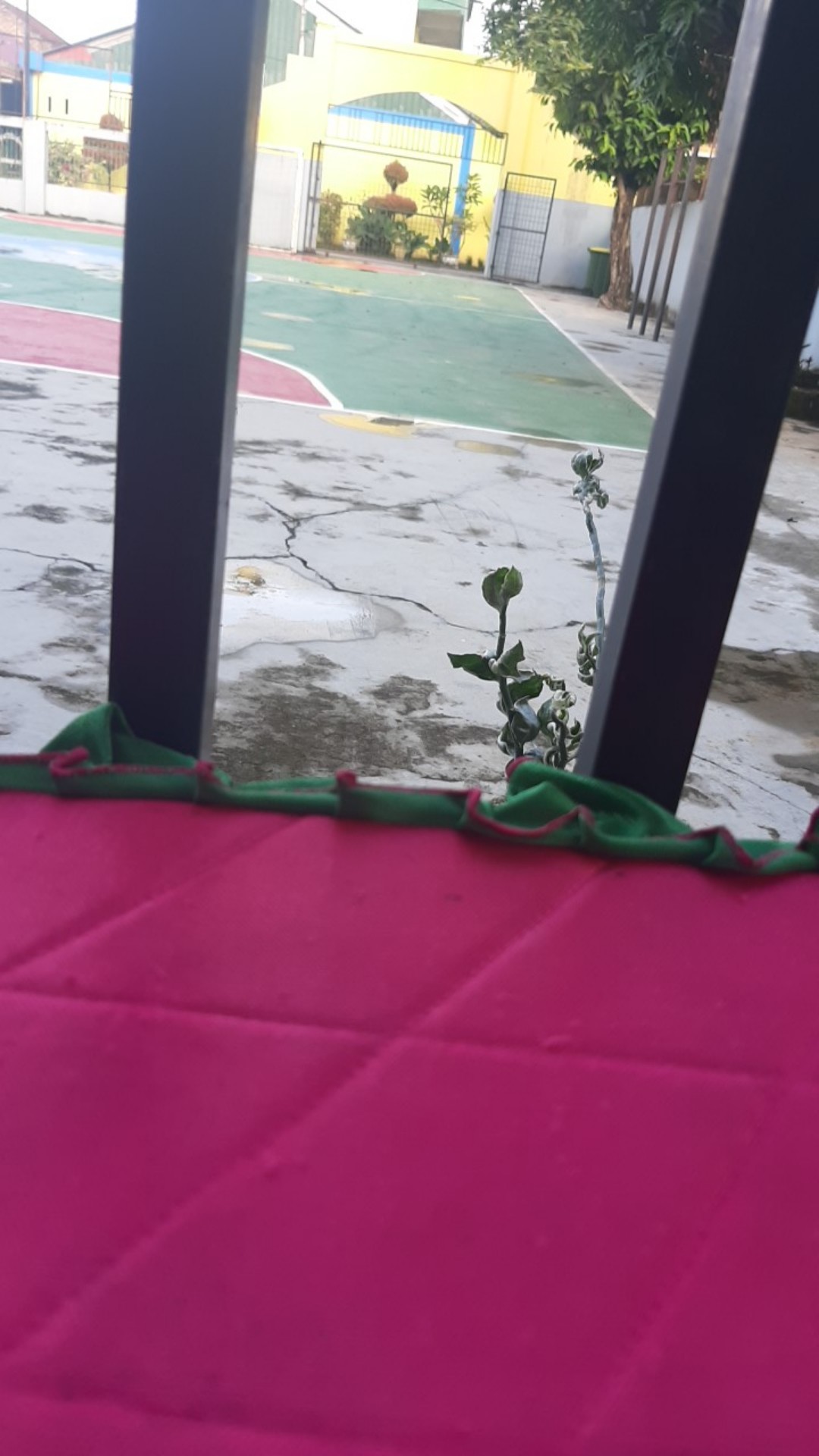 Botol Solid Plastik 500 Ml / Botol 500 Ml / Botol Plastik Murah Premium ( 12 Pcs )