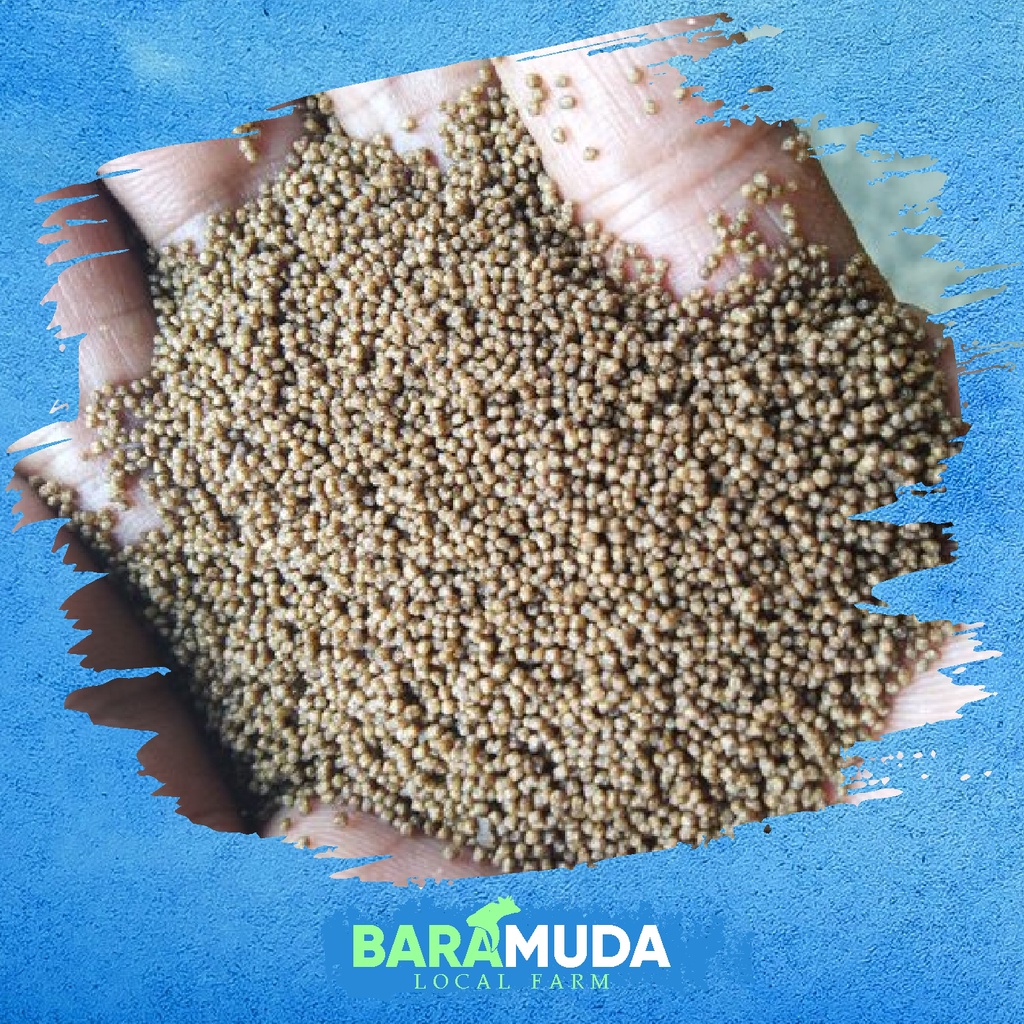 PF 500 Pakan Ikan 500gr | Lele, Gurame, Bawal, Cupang