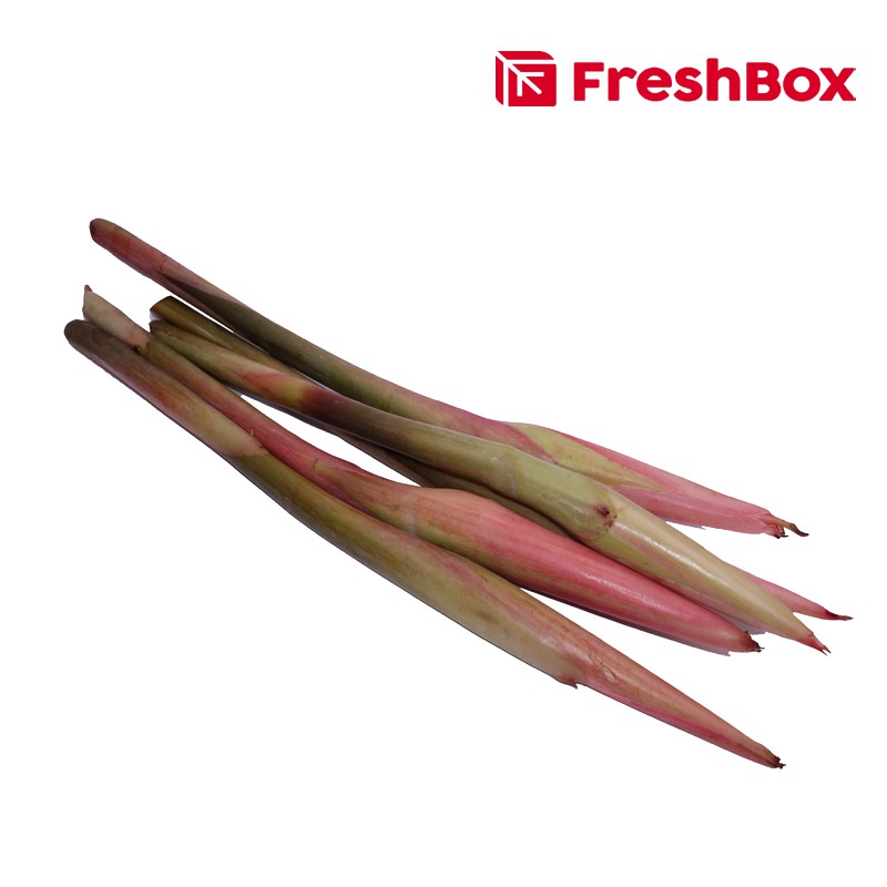 

Kecombrang Dengan 1/2 Batang 200 - 250 Gr FreshBox