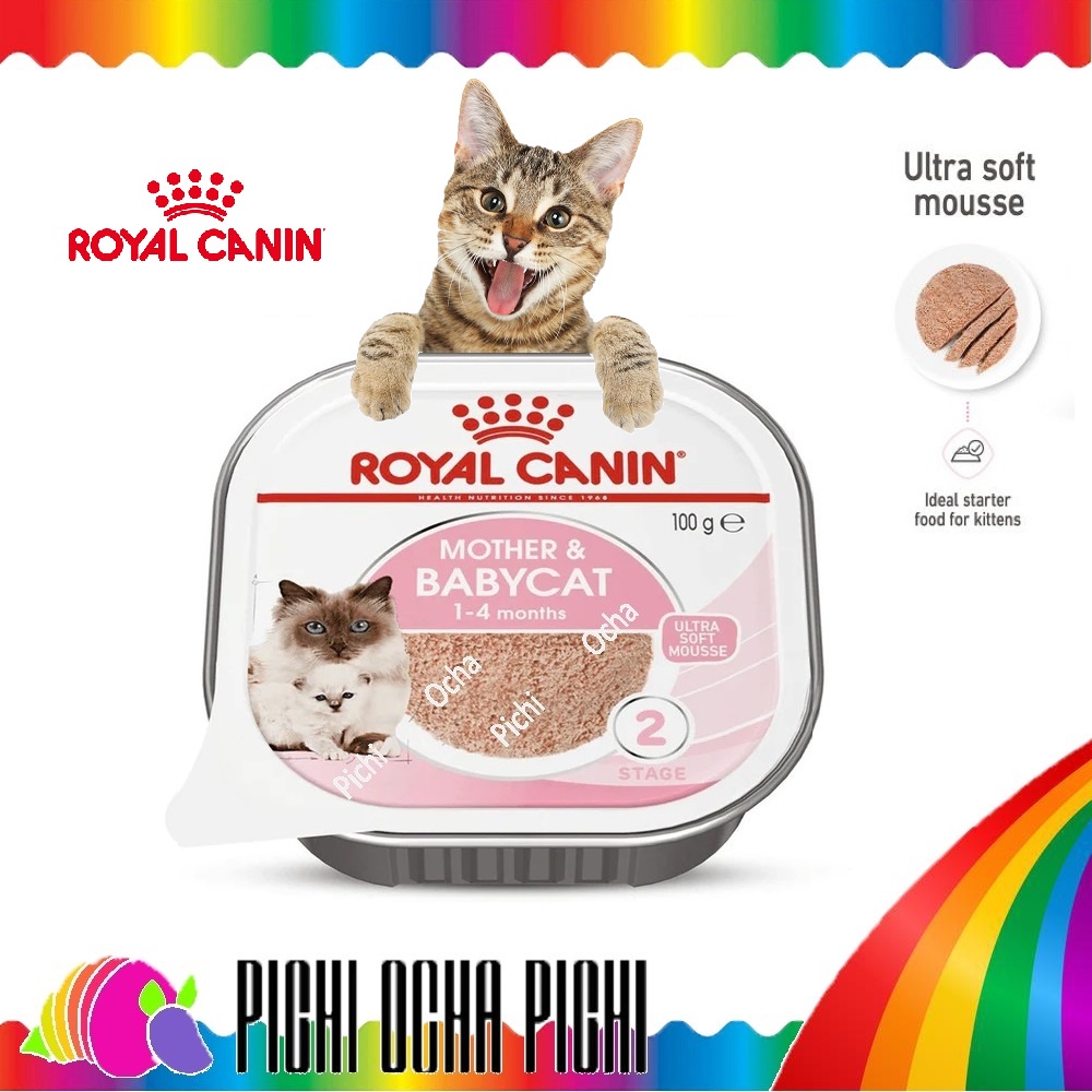 Royal canin mother &amp; baby cat kemasan 100gr wet food babycat