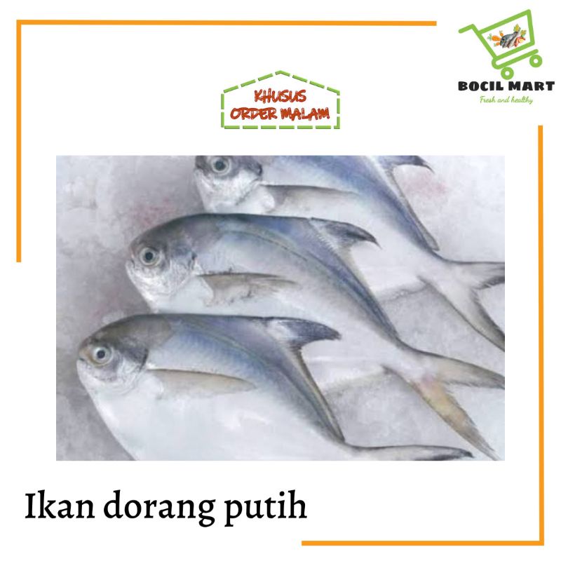 

[BOCIL MART] IKAN DORANG PUTIH 500 GRAM