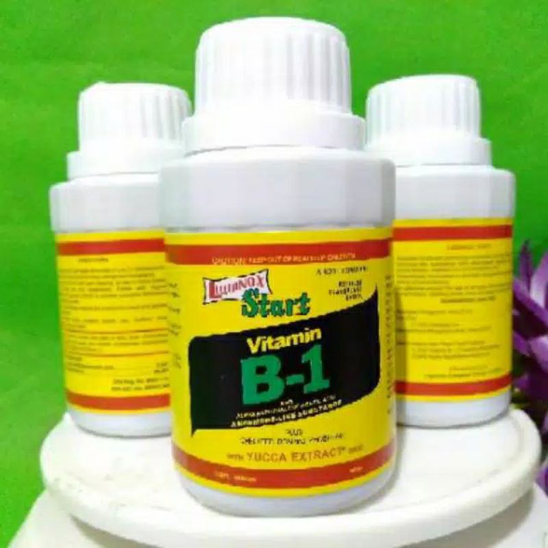 Vitamin B1 tanaman start obat tanaman stres