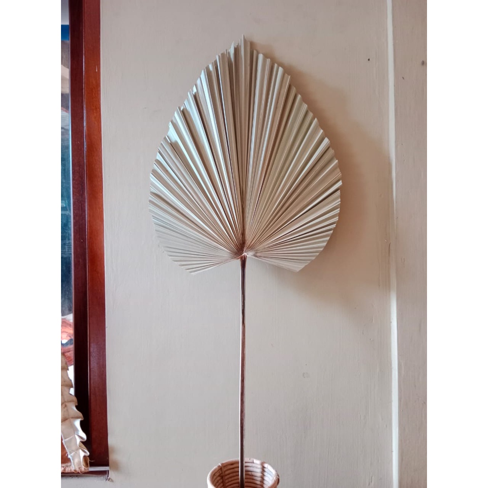 Grosir Daun Palem Kering Ukuran S/Hiasan Daun Palem/Palem Rustic 10 Batang Murah