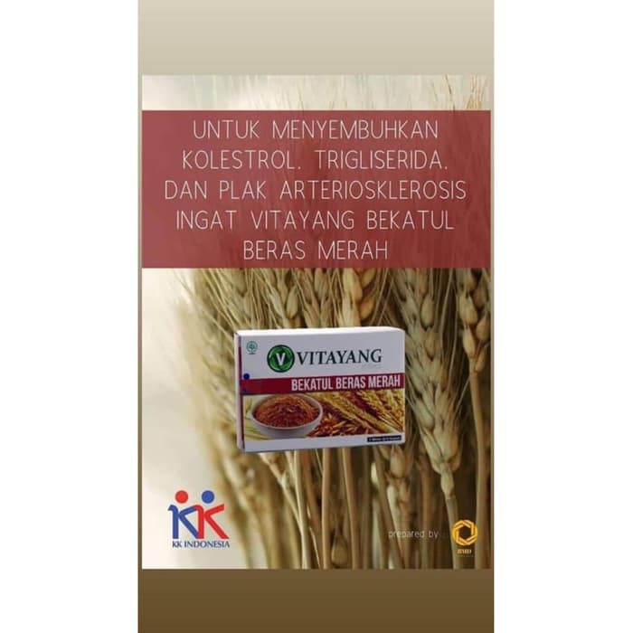 

Bekatul Beras Merah Obat Kolesterol Herbal 30 kapsul