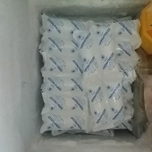 Eceran Icepack Thermafreeze - Pengganti Es Batu, Untuk Daging, Buah, Asi, Dll