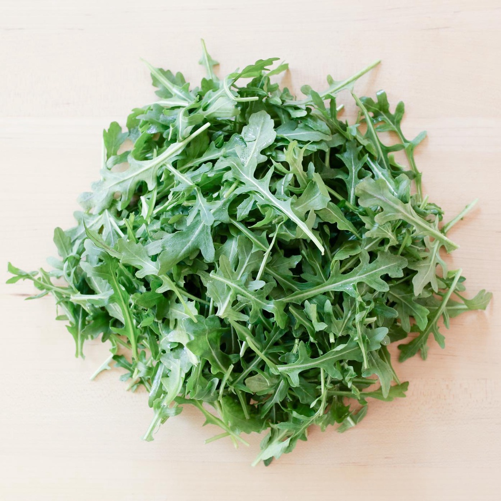 Benih Bibit Biji - Arugula Sylvetta (Wild Arugula Rocket) Salad Leaves Seeds - IMPORT