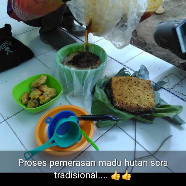 

Madu Hutan murni