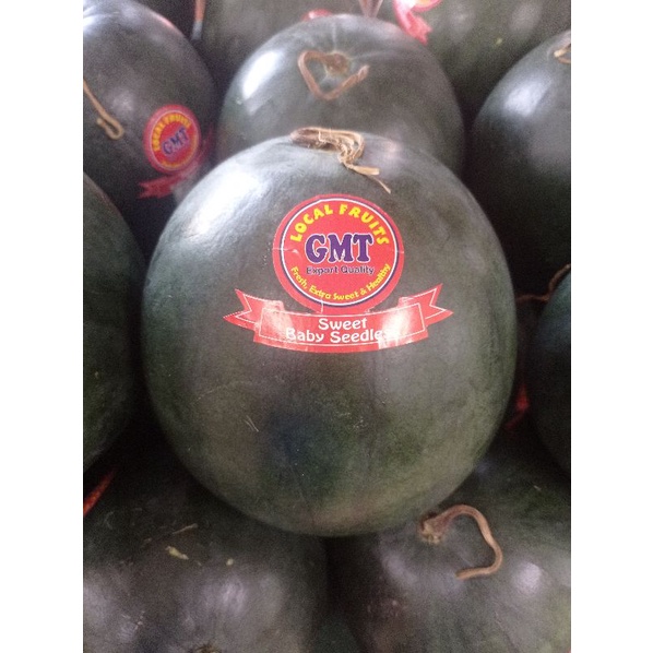semangka merah baby seedless / pics