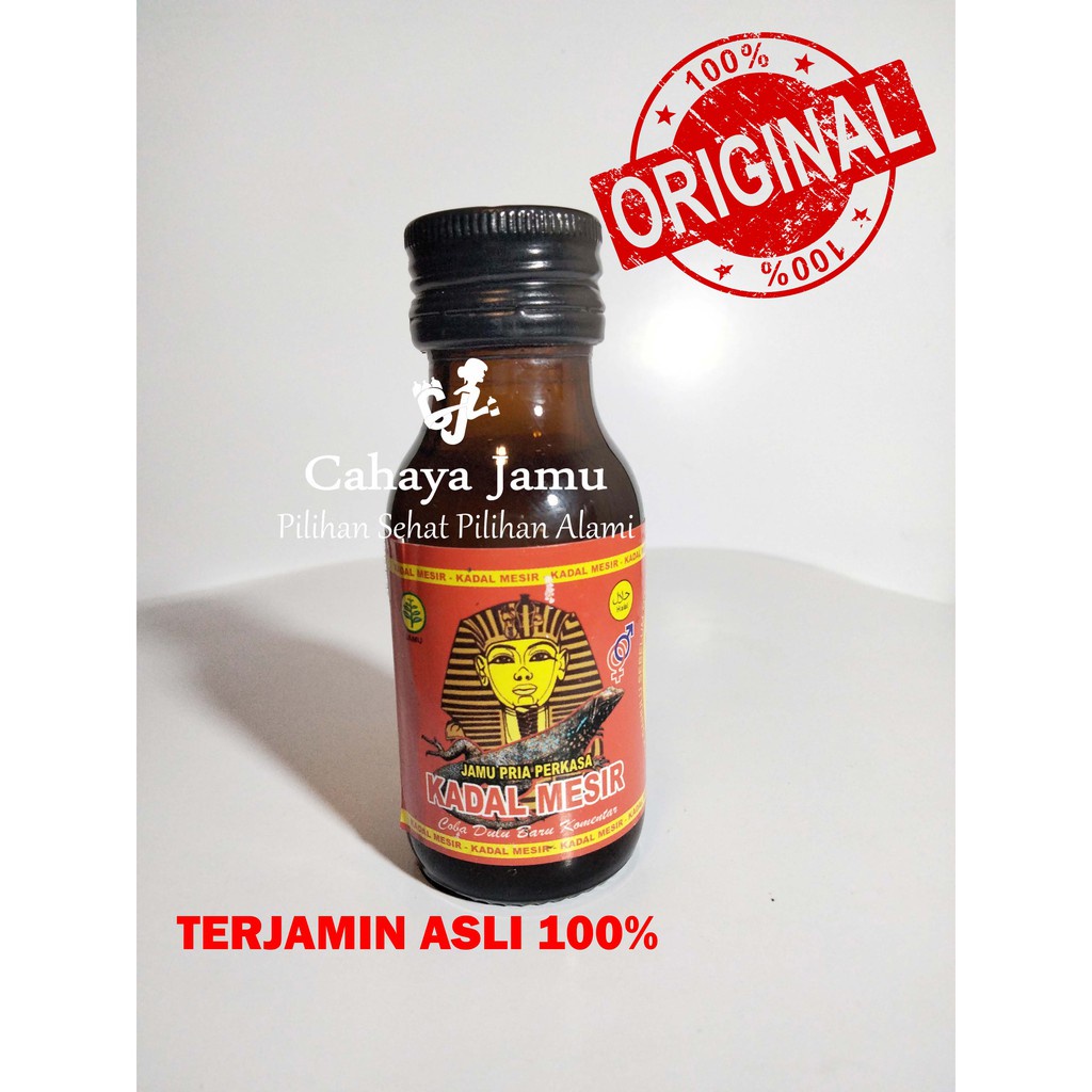 Jual Super Ampuh Jamu Kuat Herbal Pria Perkasa Kadal Mesir Terbuti