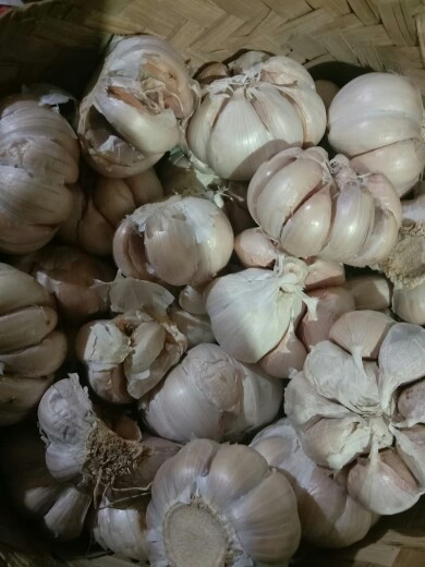 Bawang Putih Honam/ Banci Bersih 1 Kg/1000gr