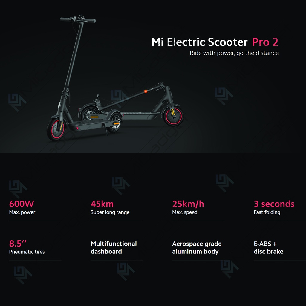 Electric Scooter Pro 2