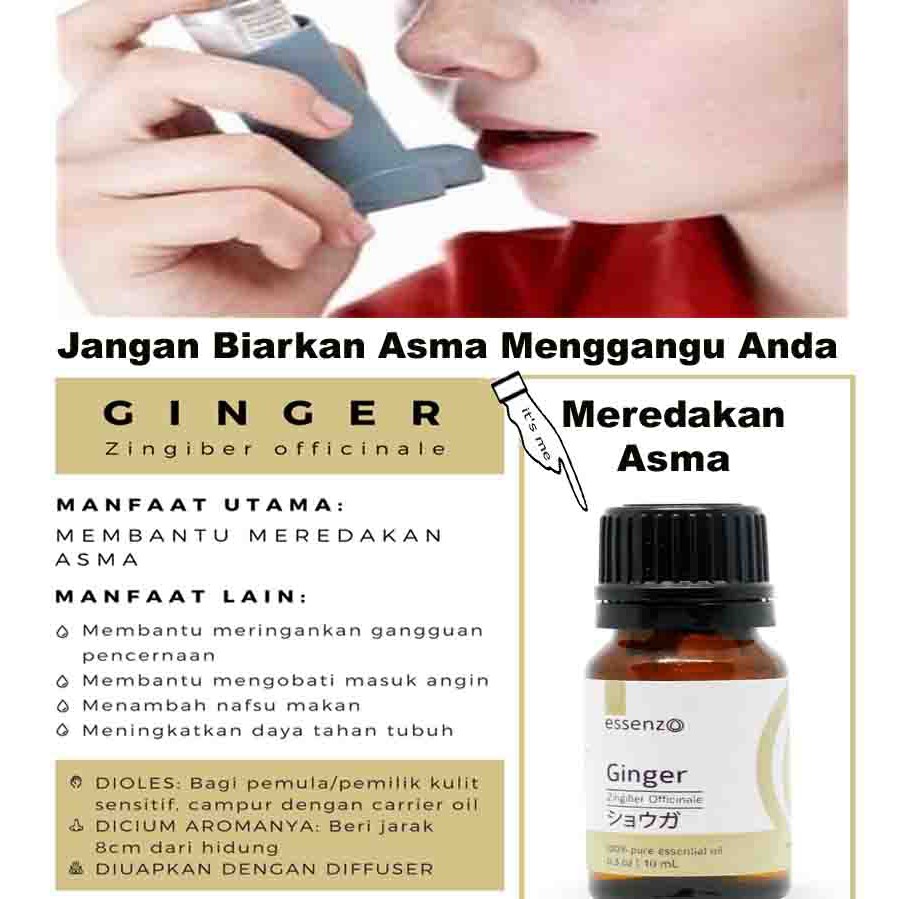 

GINGER ( PEREDA ASMA )