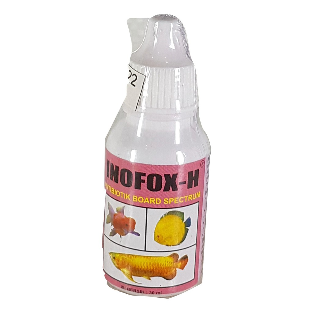 OBAT JAMUR IKAN CUPANG PENGHILANG JAMUR LUKA ANTIBIOTIK MAS KOKI ARWANA HIAS INOFOX H