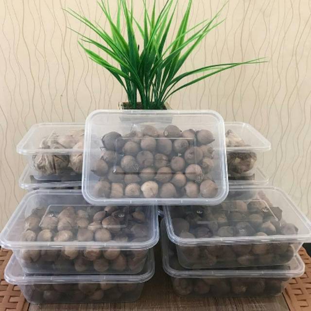

Bawang Lanang/ Black Garlic