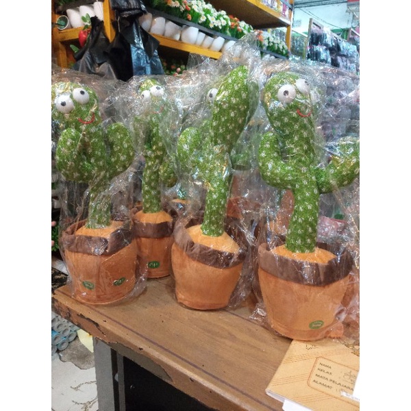 kaktus goyang, kaktus biral tiktok kaktus mainan kaktus musik bisa bicara