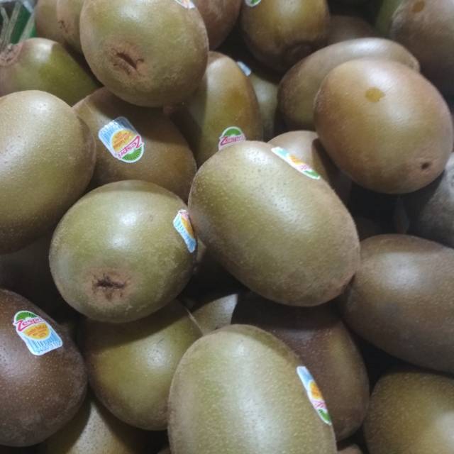 

Kiwi newzeland