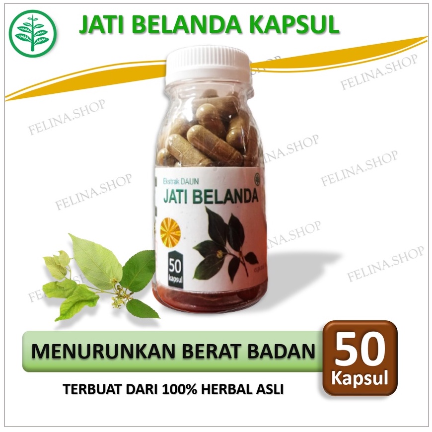 

jati belanda kapsul pelangsing ampuh herbal detox kolesterol susut lemak perut langsing 50