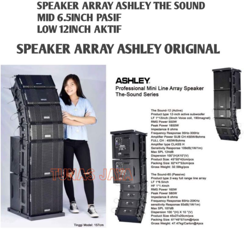 PAKET PROFESSIONAL MINI LINE ARRAY SPEAKER ASHLEY THE-SOUND SERIES