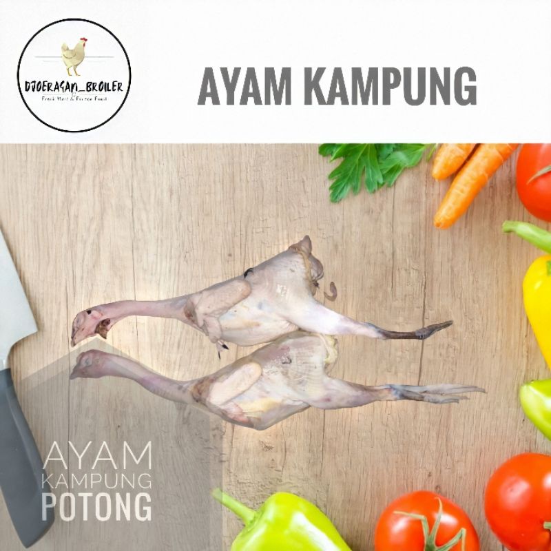 

Ayam Kampung Fresh 1 kg