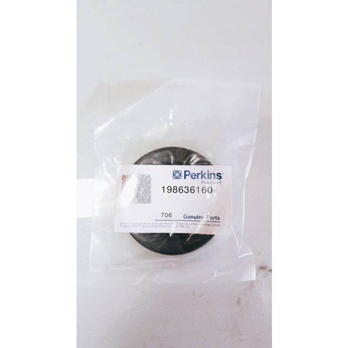 

198636160 Front Oil Seal