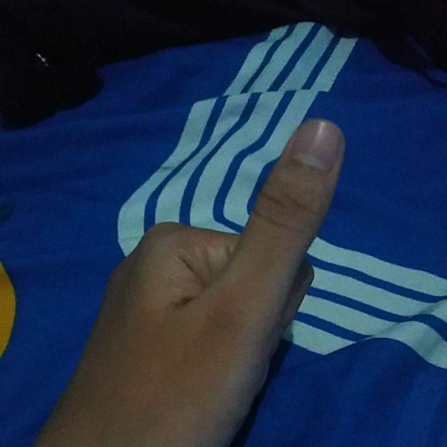 Benih Rumput Gajah Kemasan Maica Leaf