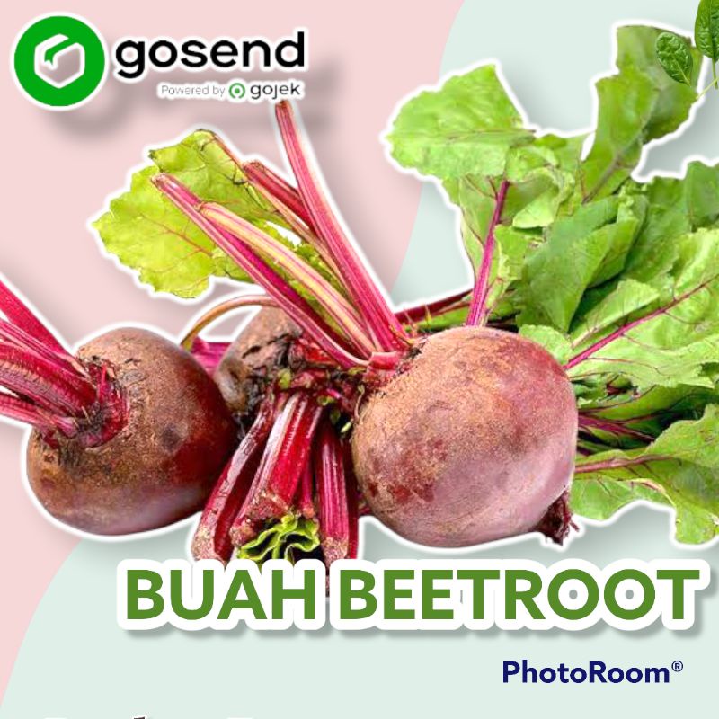 Jual Buah Beetrootbitroot Segar Berkhasiat Untuk Kesehatan Tubuh Berat