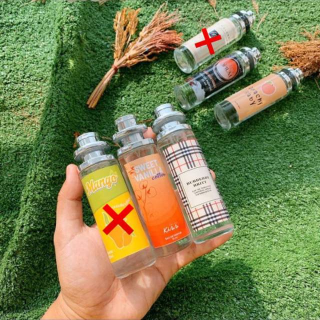 Parfum bibit Thailand