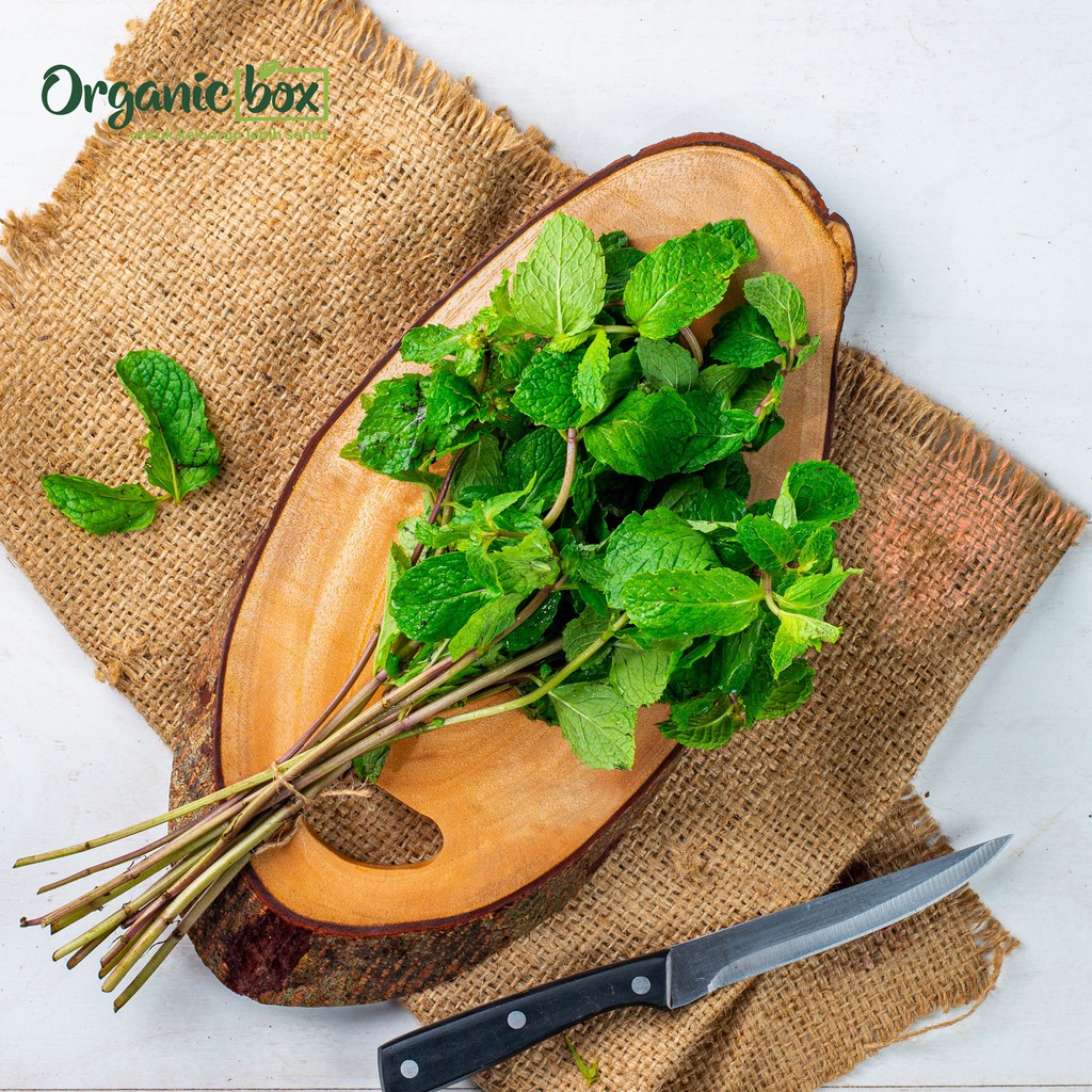 

Daun Mint Organik 50gr-Quality Farm