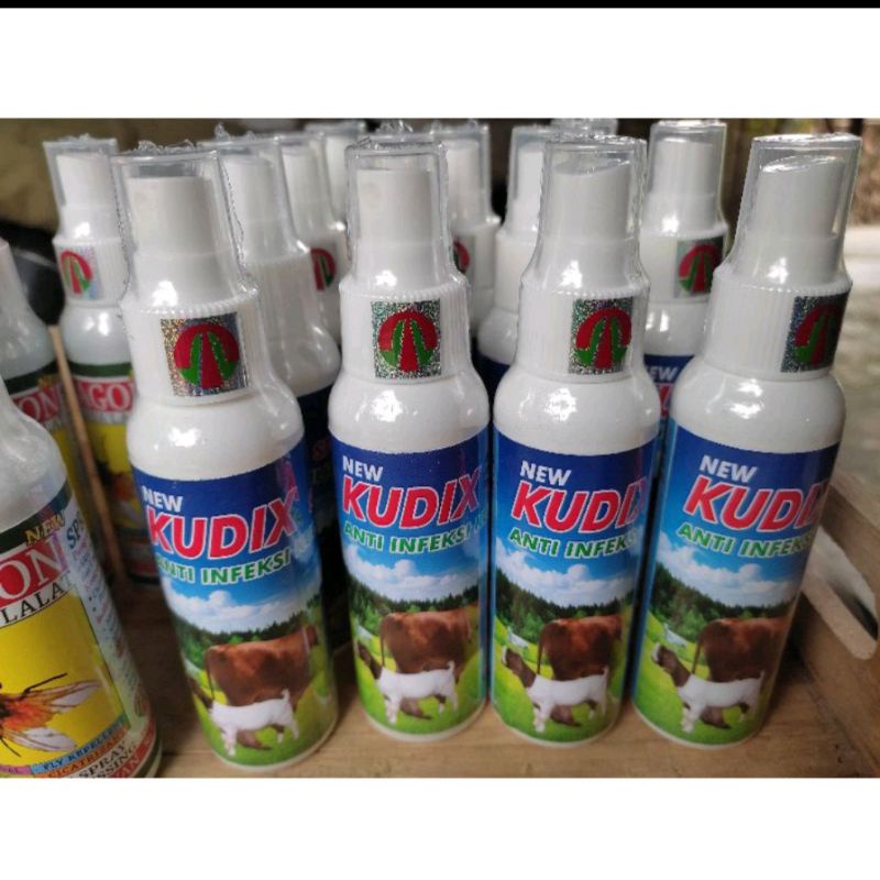 KUDIX Spray Anti Infeksi Kulit