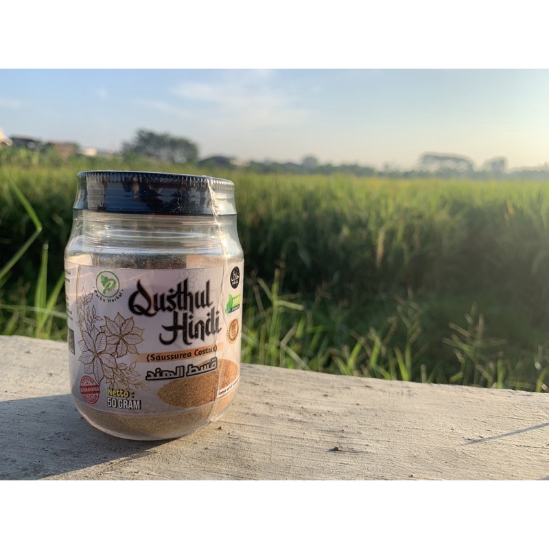 Qustul hindi / Qusthul Hindi / Qust Al hindi / Qustul bahri / Qustal Hindi grosir ecer qustul hindi