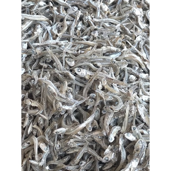

ikan teri