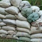 kotoran kambing kotoran hewan pupuk kandang