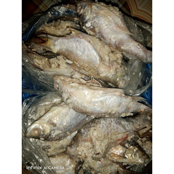 

BEKASEM IKAN TINO 1 KG (FREE TOPLES)