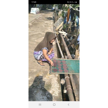 

mbambut moro demak terasi masak