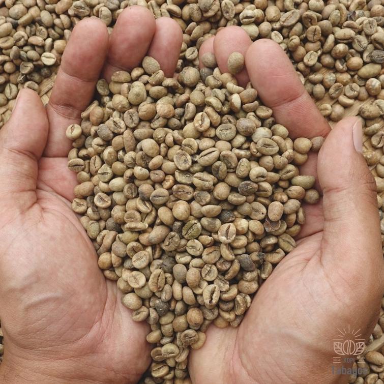 

ㅿ Green Bean Robusta Temanggung 1 Kg Grade Asalan Super ⇡