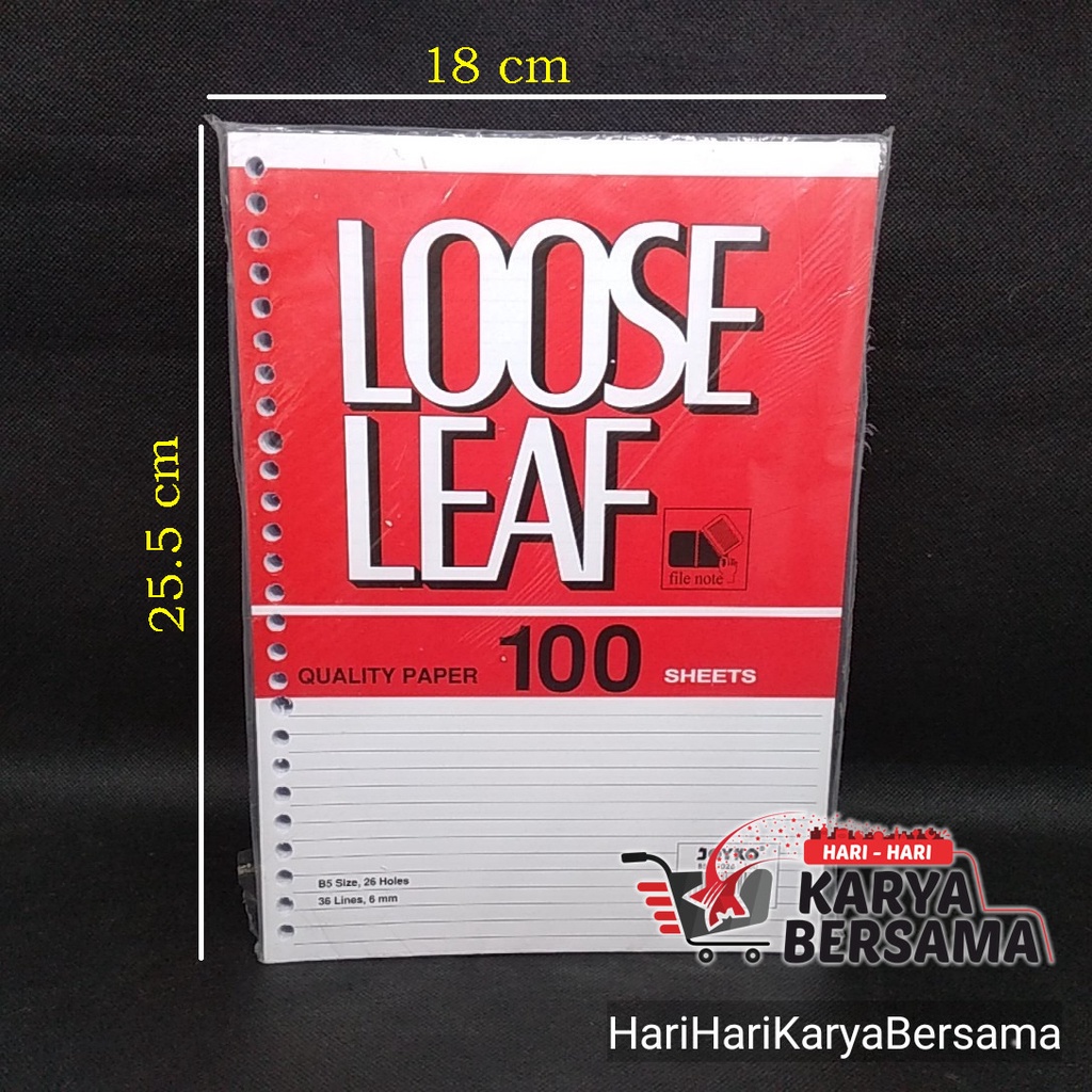 

JOYKO LOOSE LEAF B5 100'S
