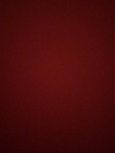 Gelas Kaca Dua Lapis Motif Sapi 250ml