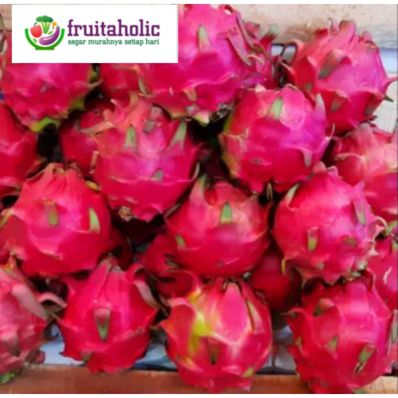 

BUAH NAGA MERAH(1kg)