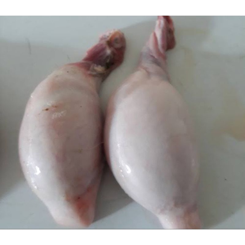 

torpedo kambing per 2 pcs