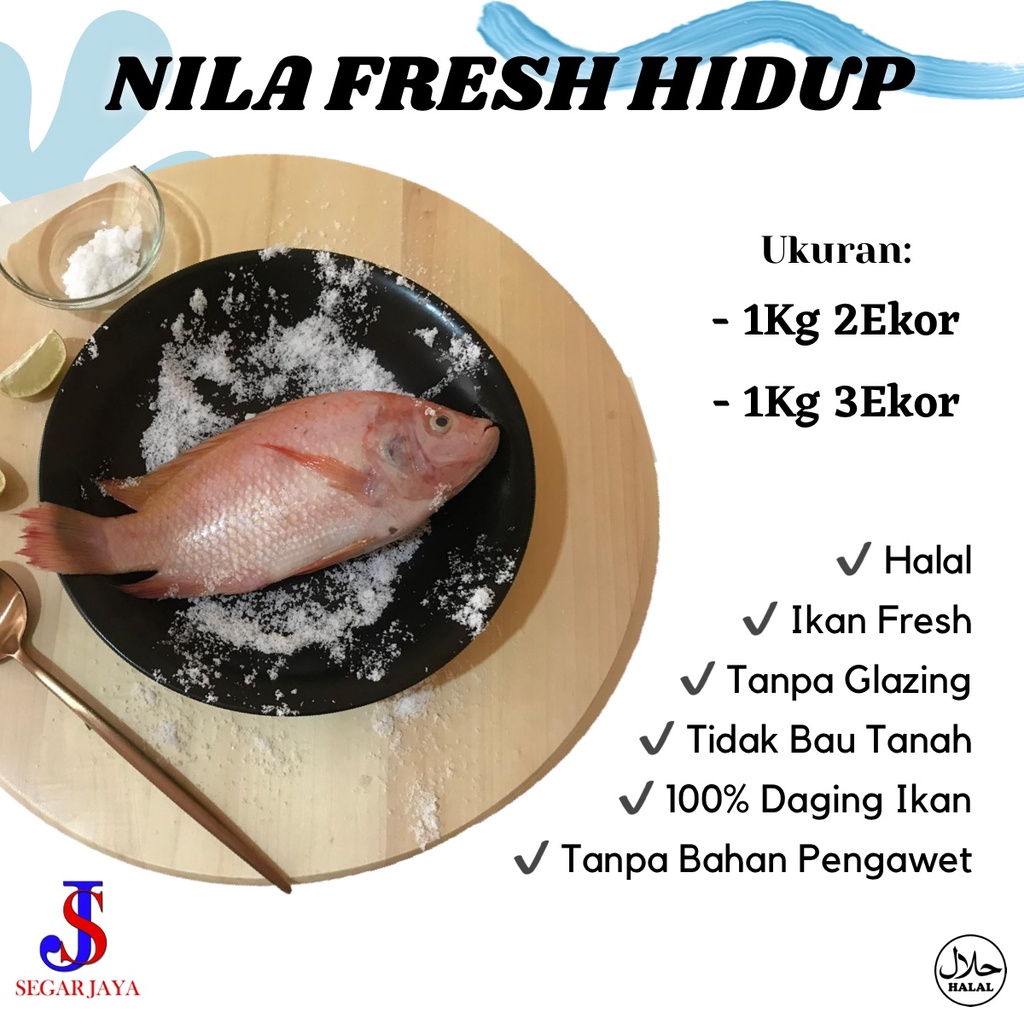 

Ikan Nila Hidup Segar Fresh dari Kolam