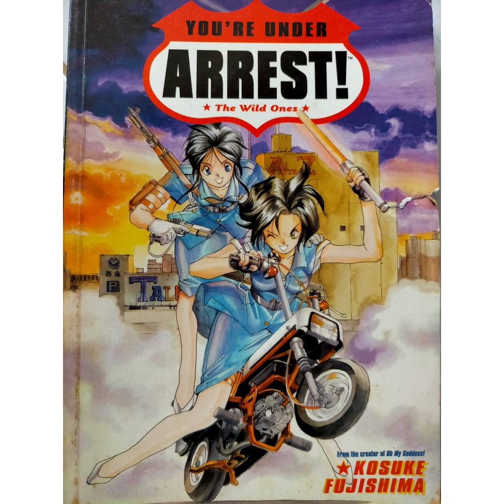 You're Under Arrest - The Wild Ones