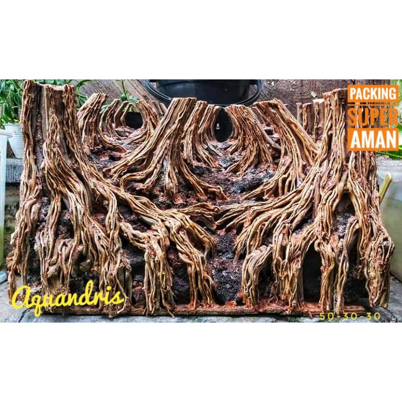 jungle hardscape aquascape