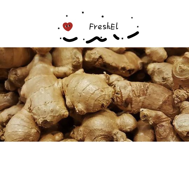 

FreshEl - JAHE 250gr
